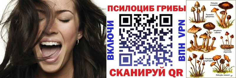 KRAKEN рабочий сайт  Лосино-Петровский  Галлюциногенные грибы GOLDEN TEACHER  цена  